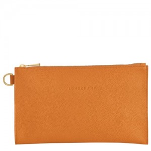 Longchamp Le Foulonne Pouch Saffron | BPYUV-0264