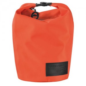 Longchamp Le Pliage Collection Pouch Orange | RVKSZ-4190