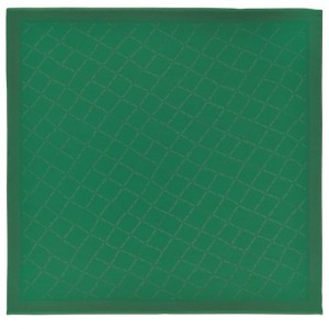 Longchamp Shawl Green | CSRYN-1084