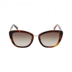 Longchamp Sunglasses Havana | NFPDY-8502