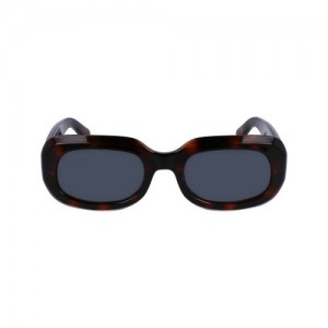 Longchamp Sunglasses Havana | XSNUF-1248