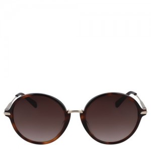 Longchamp Sunglasses Havana | ZKJMU-0365