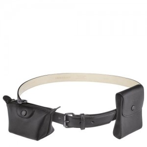 Longchamp belt Black | UDSFI-3029